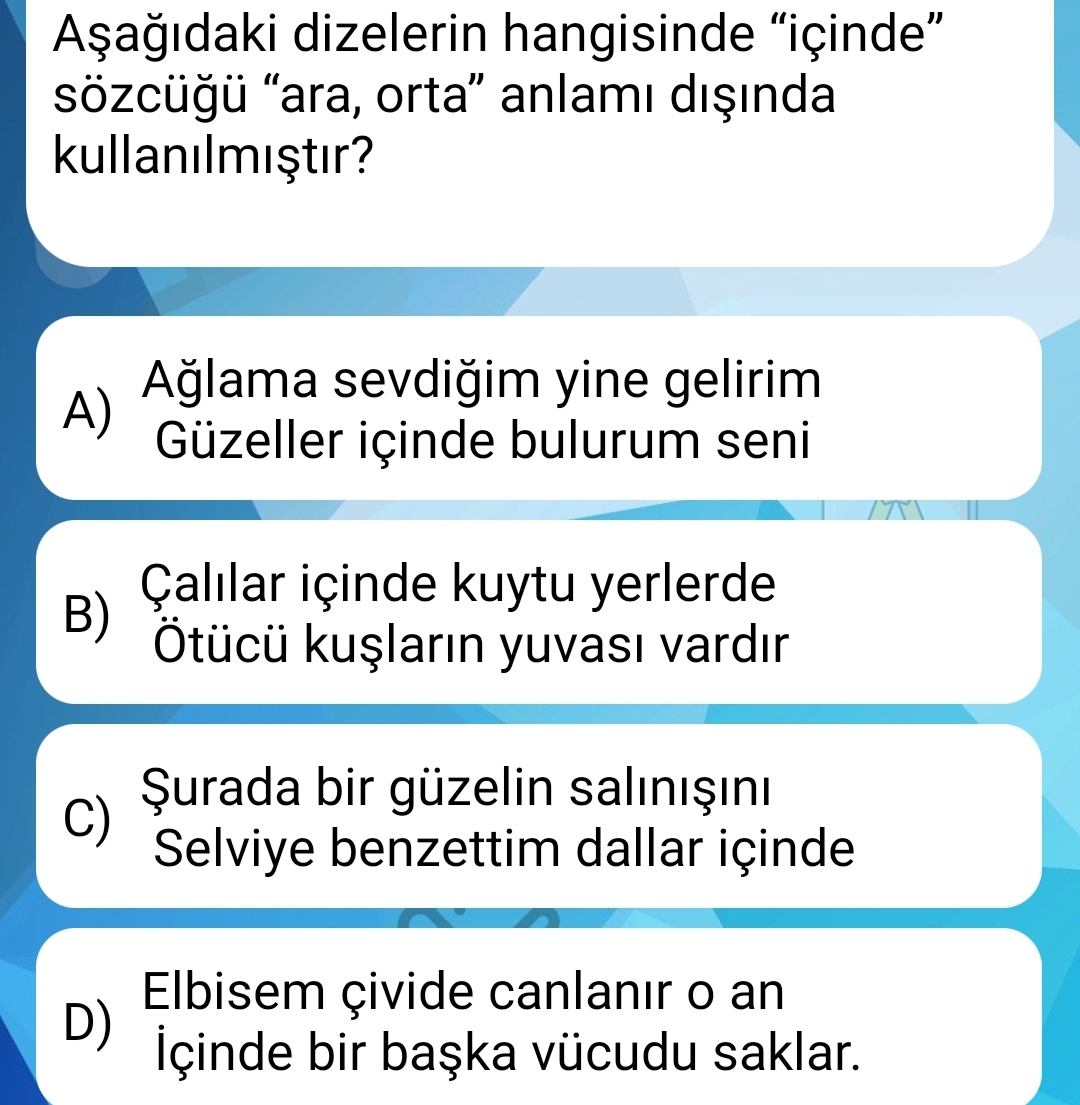 Soru Görseli